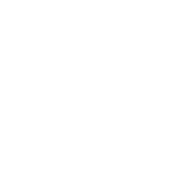 Plane icon