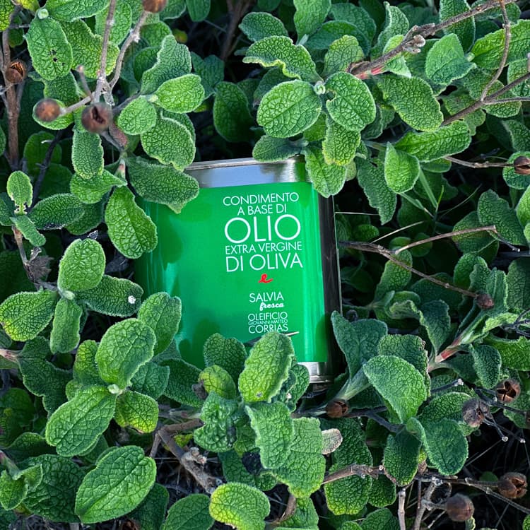 Oleificio Giovanni Matteo Corrias